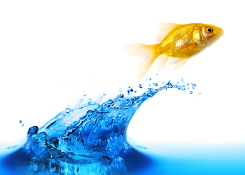 contact angle meter surface tensiometer contact angle meter surface tensiometer