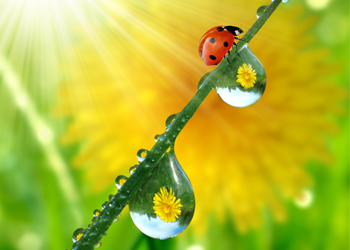 contact angle meter and surface tensiometer contact angle meter and surface tensiometer